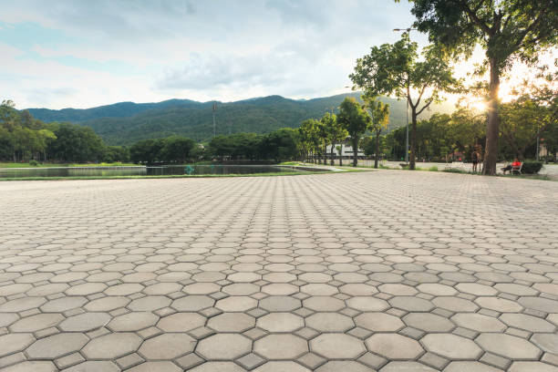 Best Driveway Pavers Near Me  in Lady Lake, FL